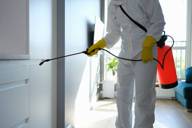 Biohazard Mold Removal in Etowah, TN